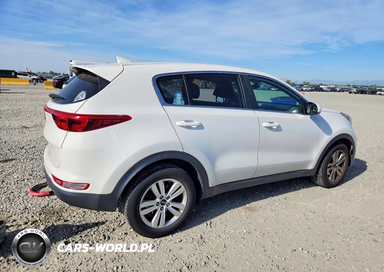 2019 Kia Sportage Lx VIN:KNDPM3AC5K7509461 - 3