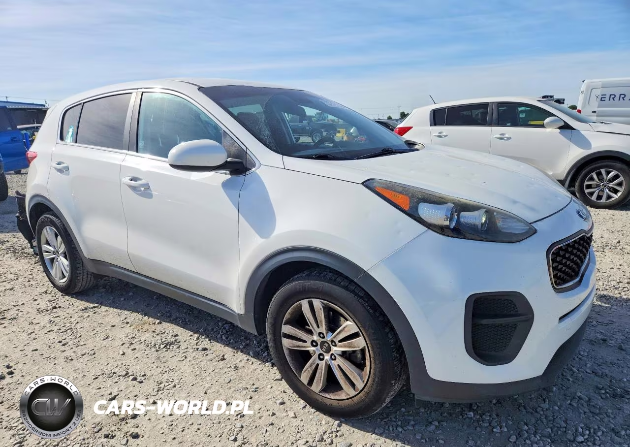 2019 Kia Sportage Lx VIN:KNDPM3AC5K7509461 - 4