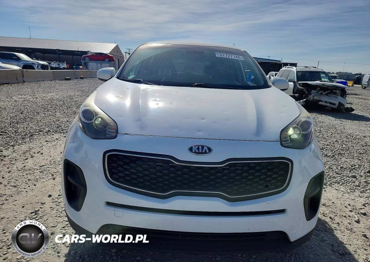 2019 Kia Sportage Lx VIN:KNDPM3AC5K7509461 - 5