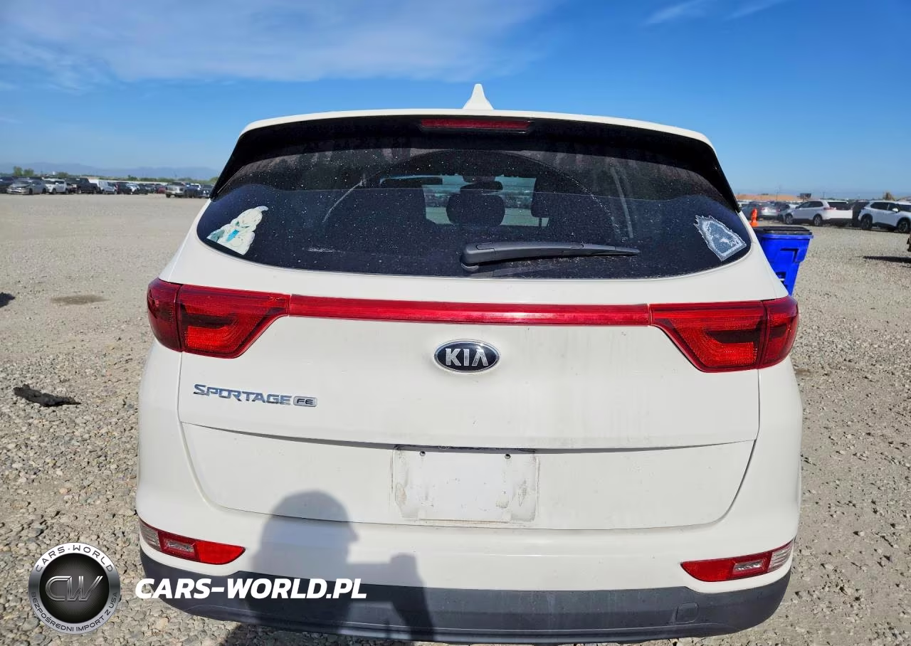 2019 Kia Sportage Lx VIN:KNDPM3AC5K7509461 - 6