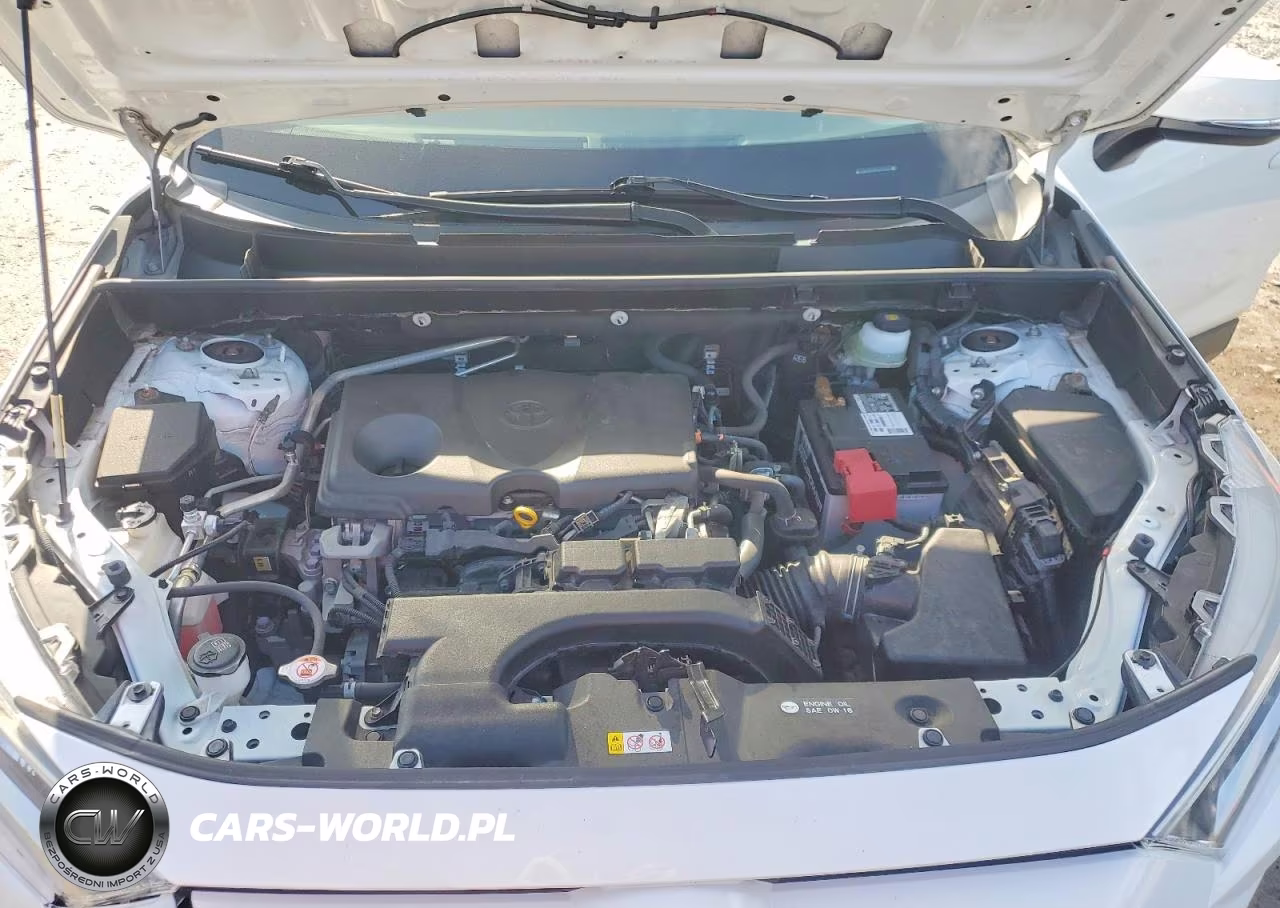 2019 Toyota Rav4 Xle VIN:JTMW1RFV4KJ014687 - 11