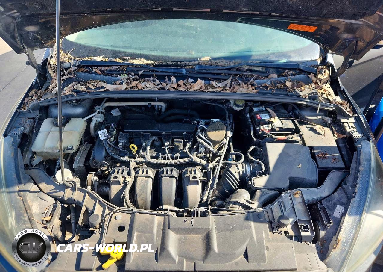 2015 Ford Focus Se VIN:1FADP3F20FL227922 - 11