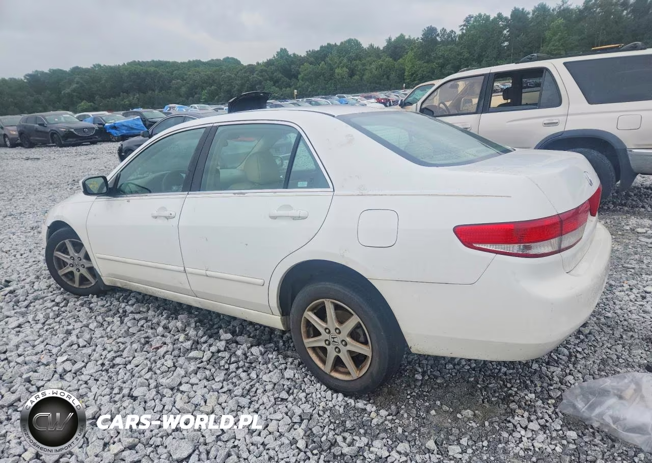 2004 Honda Accord Ex VIN:1HGCM665X4A036920 - 2