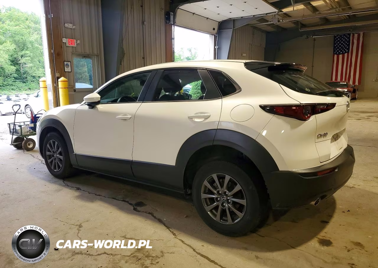 2020 Mazda Cx-30 VIN:3MVDMABL1LM109845 - 2