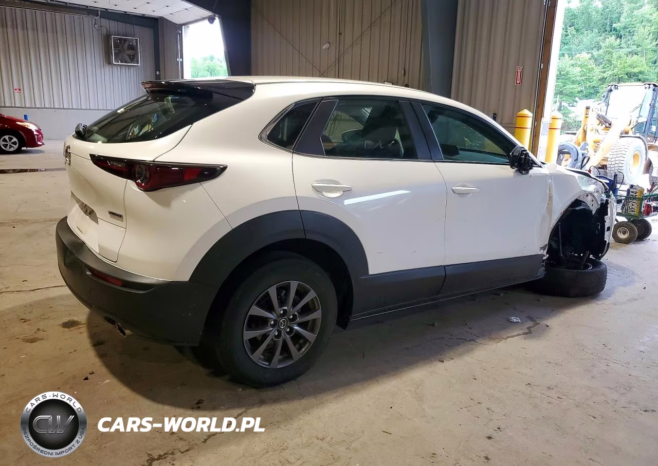 2020 Mazda Cx-30 VIN:3MVDMABL1LM109845 - 3