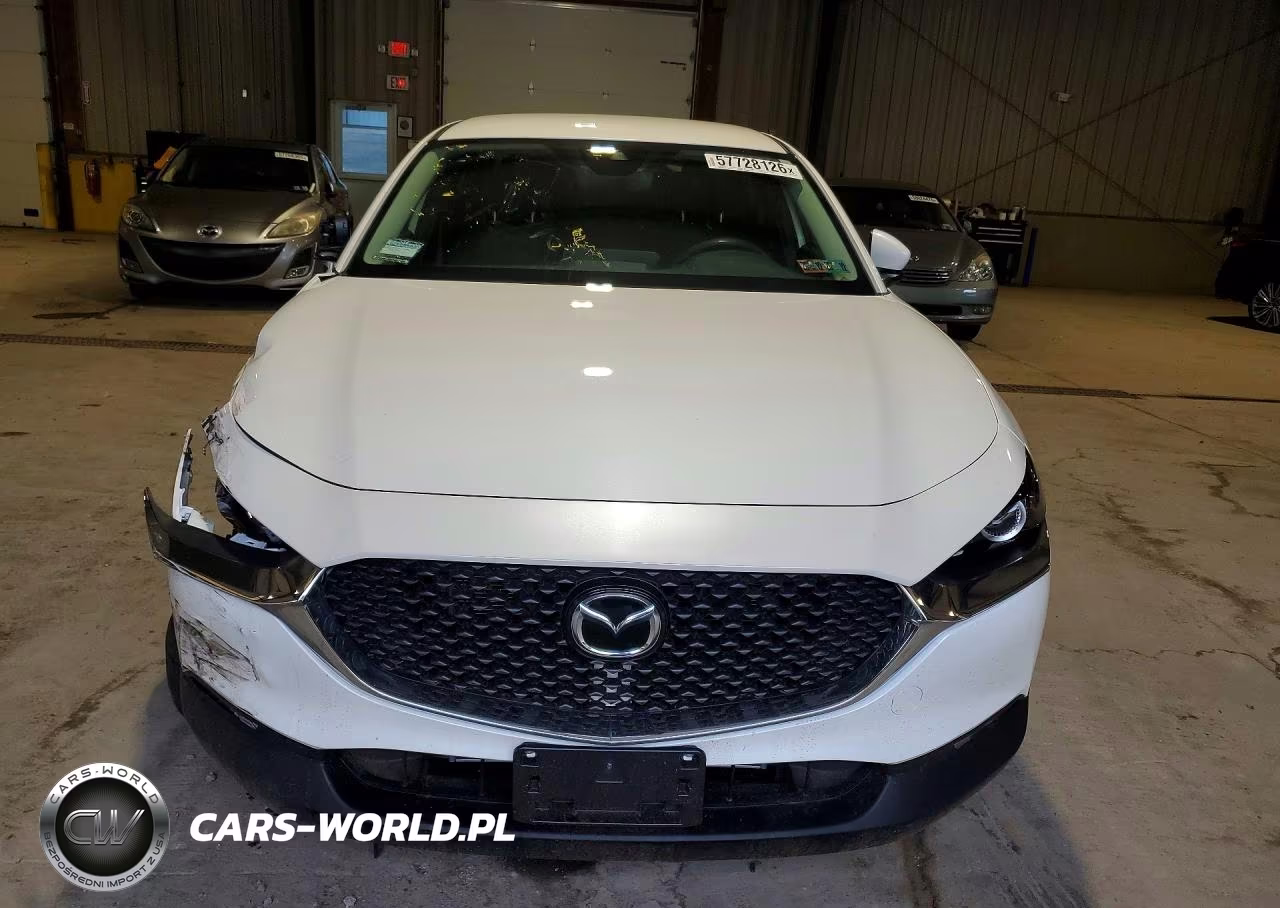 2020 Mazda Cx-30 VIN:3MVDMABL1LM109845 - 5