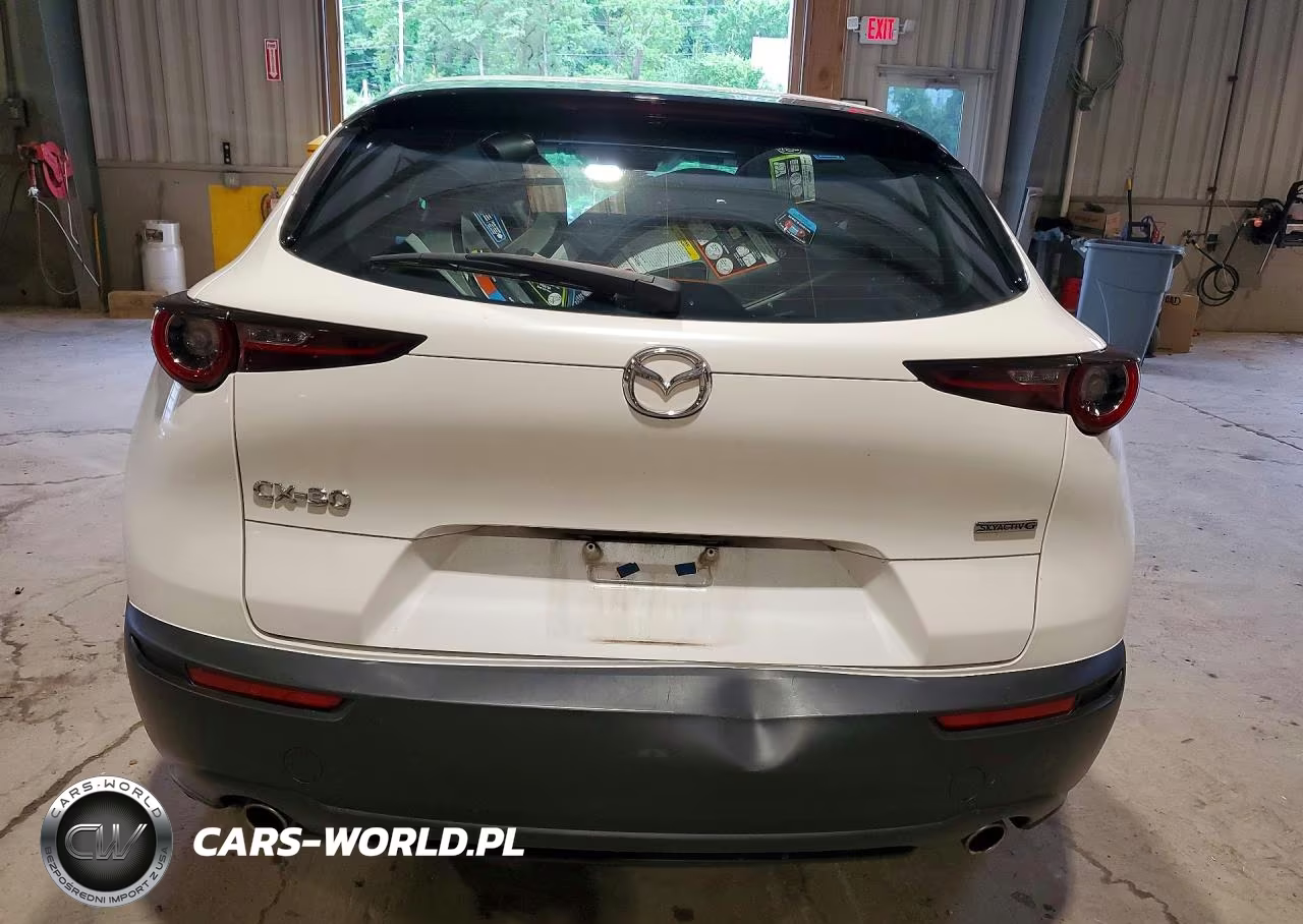 2020 Mazda Cx-30 VIN:3MVDMABL1LM109845 - 6