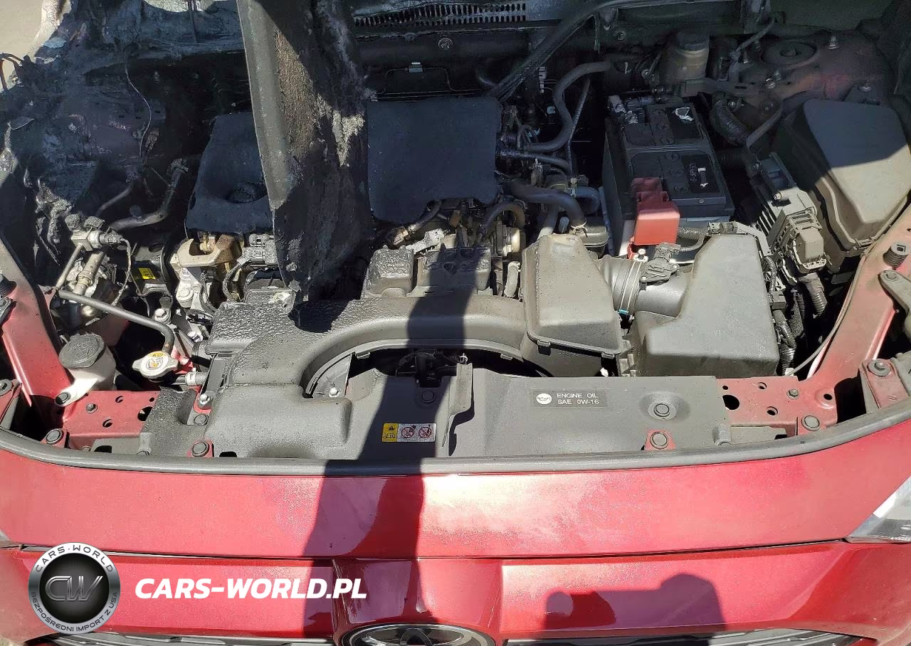 2025 Toyota Rav4 Xle VIN:2T3P1RFV0SW597913 - 11