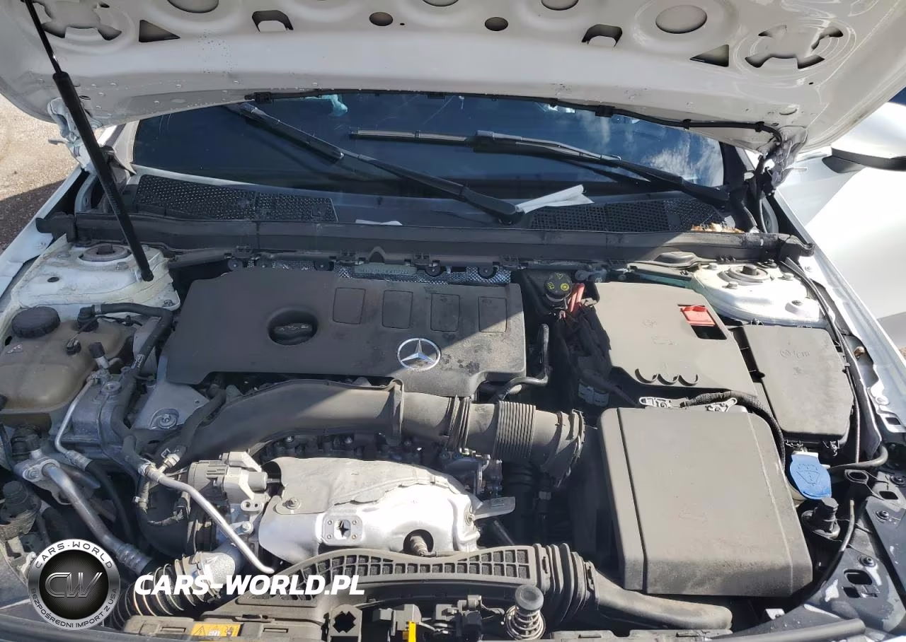 2019 Mercedes-Benz A 220 VIN:WDD3G4EB9KW007111 - 11