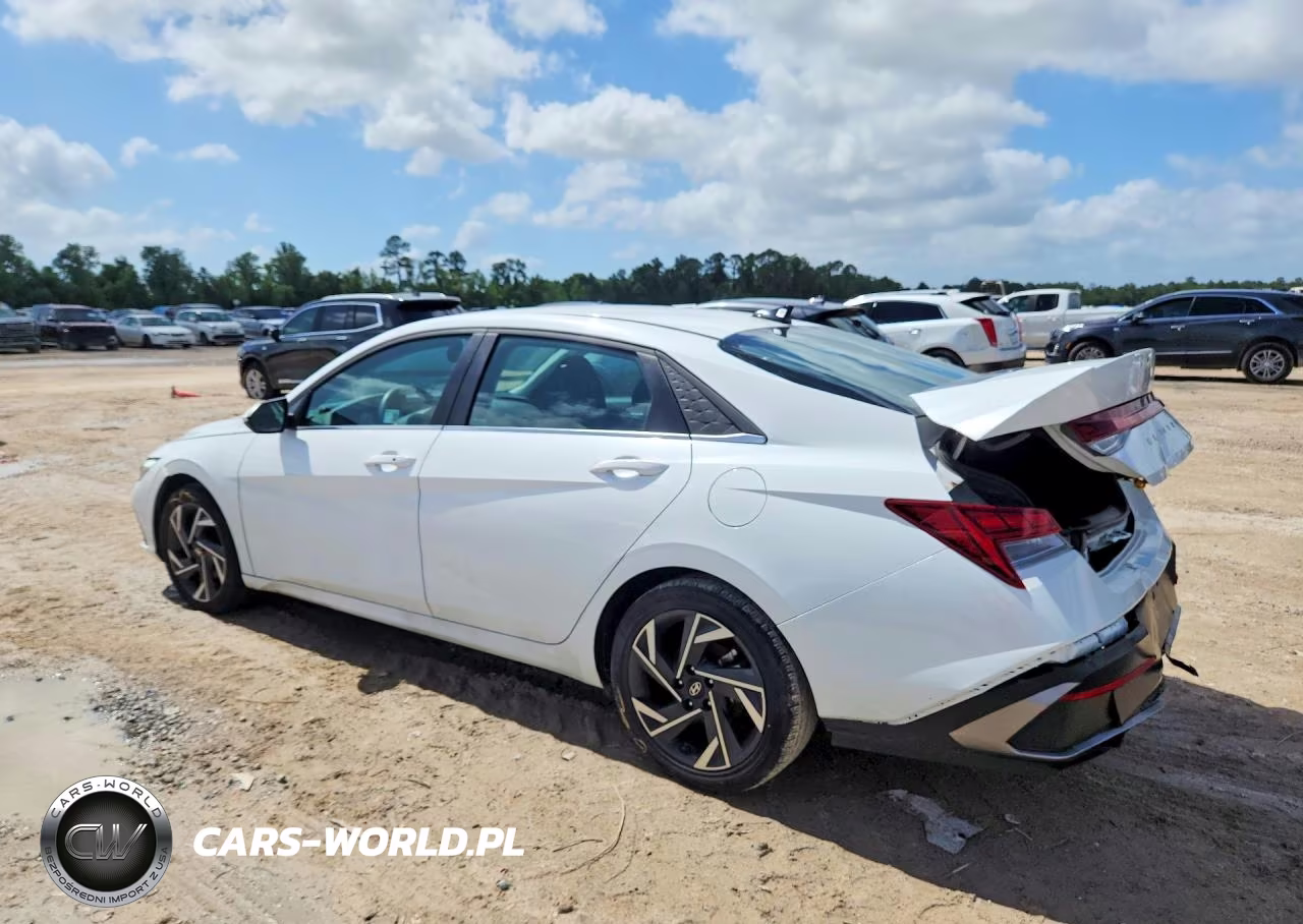 2025 Hyundai Elantra Sel VIN:KMHLS4DG2SU007030 - 2