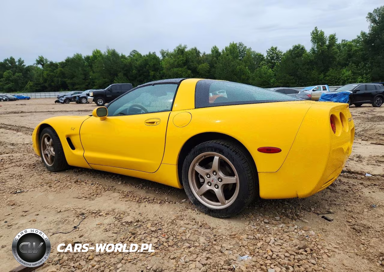 2003 Chevrolet Corvette VIN:1G1YY22G335112969 - 2