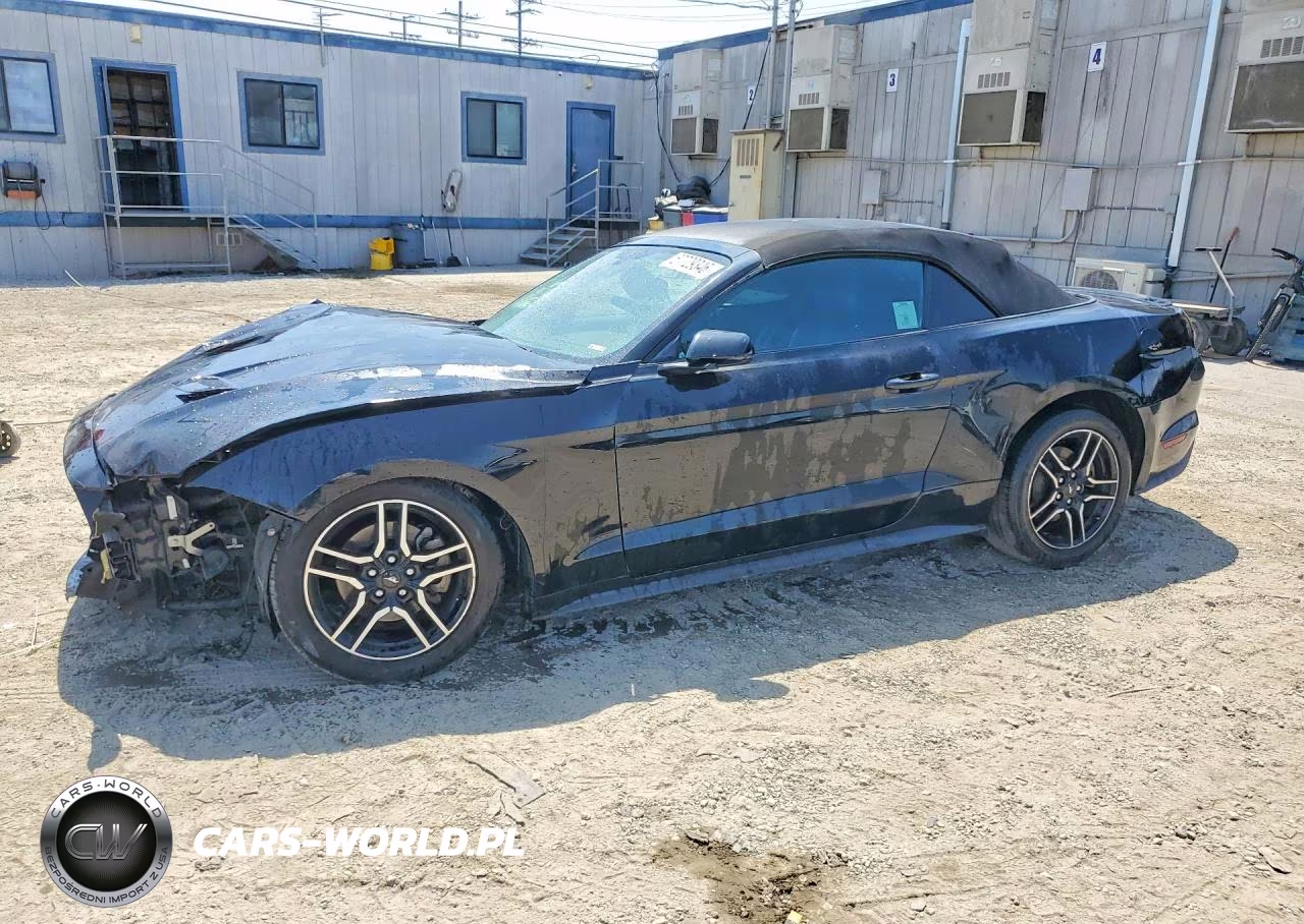 2019 Ford Mustang