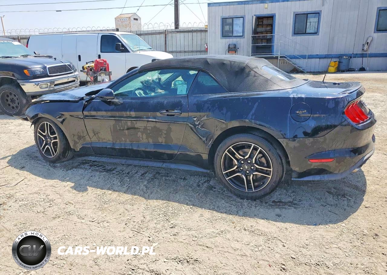 2019 Ford Mustang VIN:1FATP8UH8K5162428 - 2