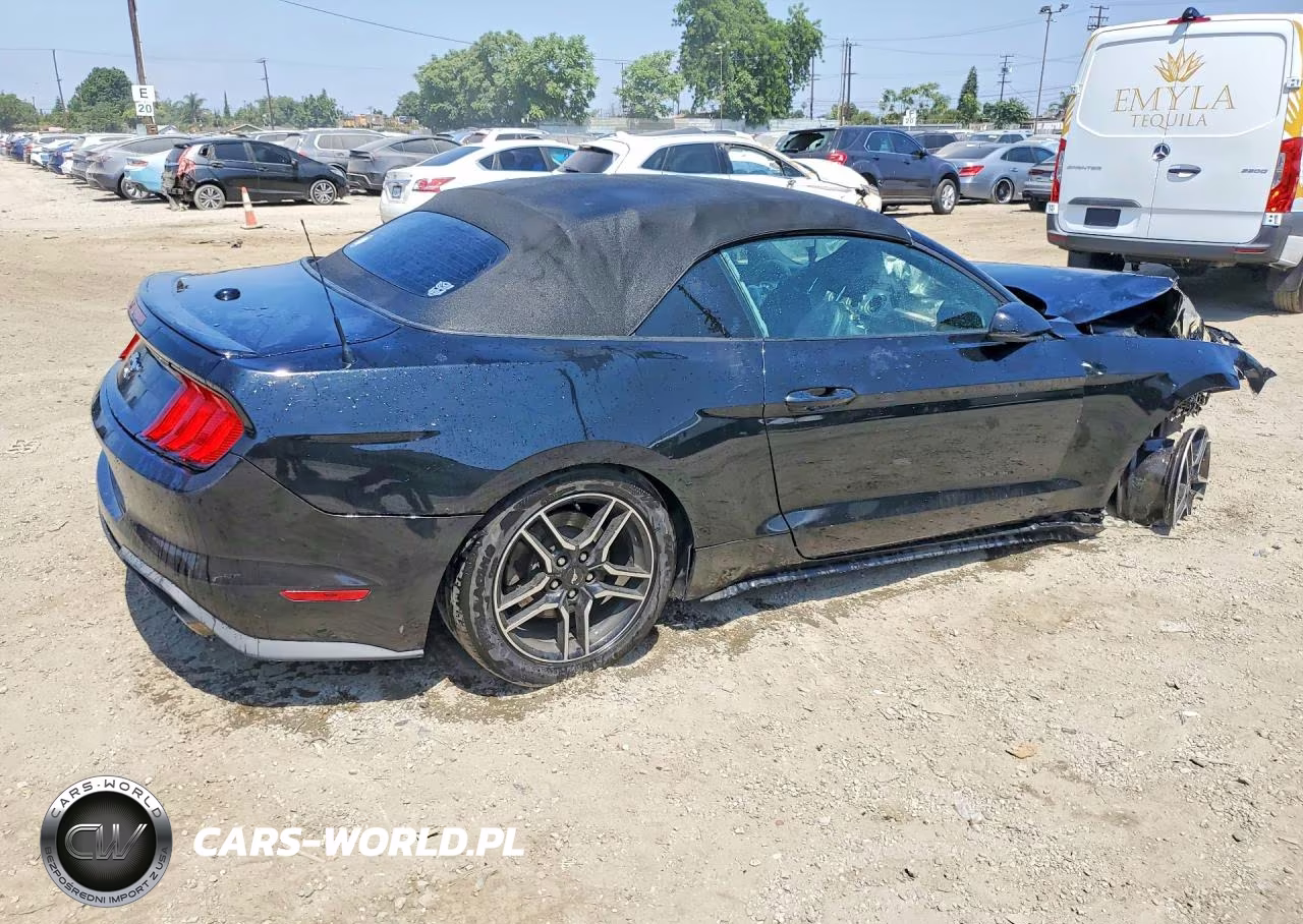 2019 Ford Mustang VIN:1FATP8UH8K5162428 - 3
