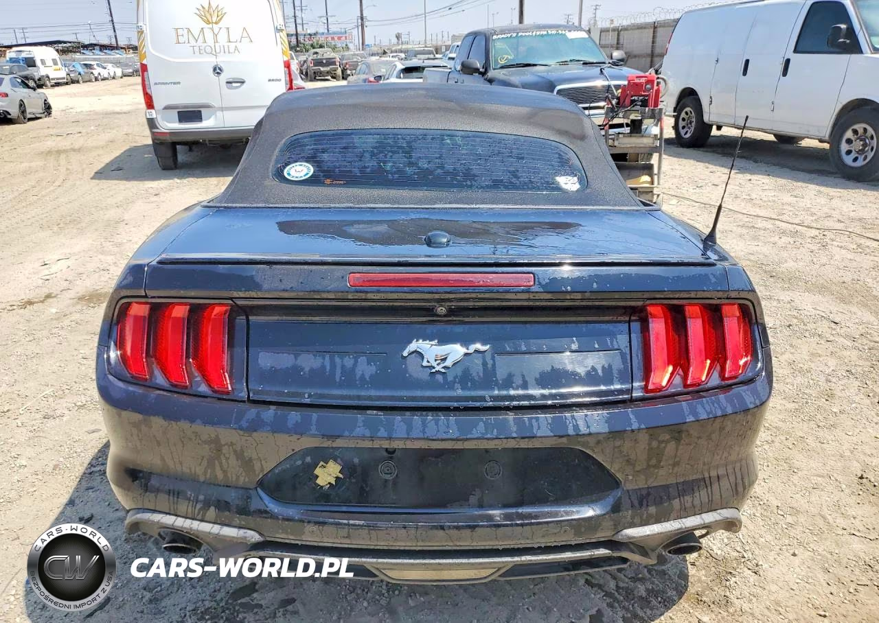 2019 Ford Mustang VIN:1FATP8UH8K5162428 - 6