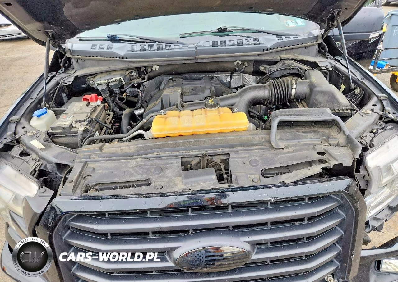 2017 Ford F150 Supercrew VIN:1FTEW1EP4HFC55243 - 11