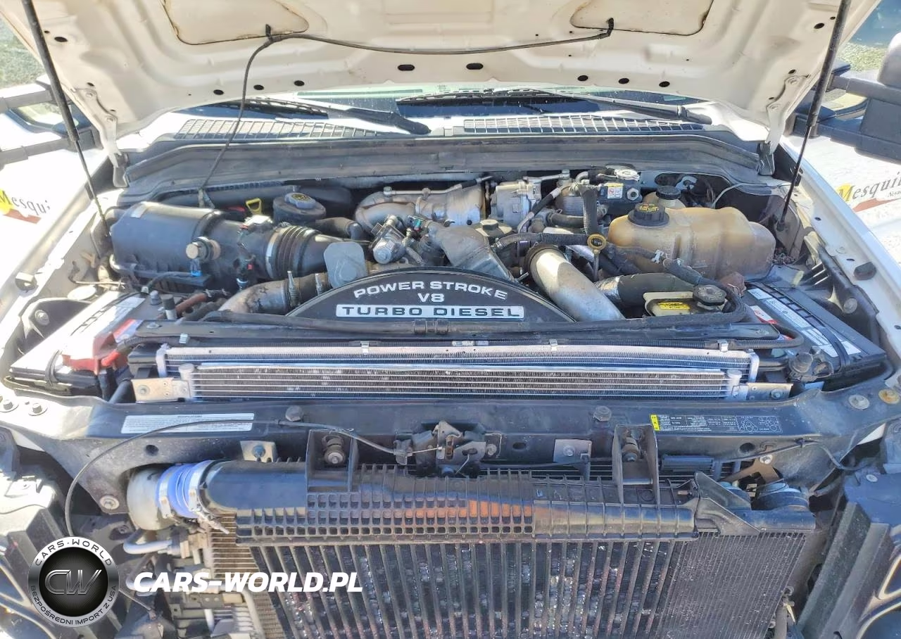 2009 Ford F250 Super Duty VIN:1FTSW21R49EA18369 - 12