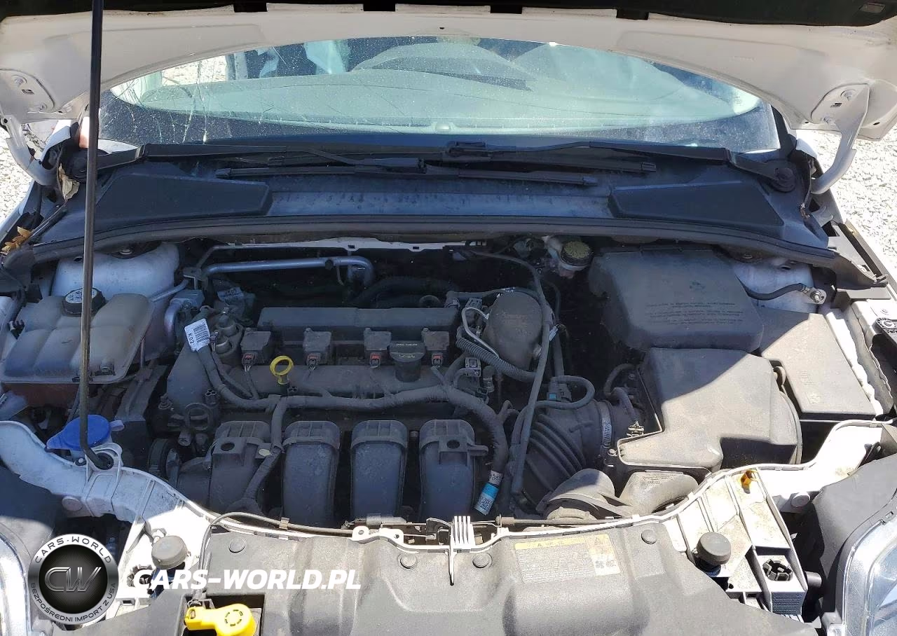 2013 Ford Focus Titanium VIN:1FADP3J23DL144862 - 11