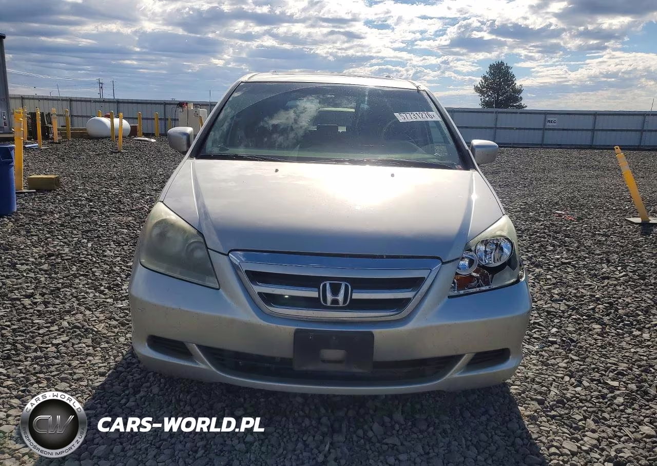 2005 Honda Odyssey Exl VIN:5FNRL38725B096689 - 5