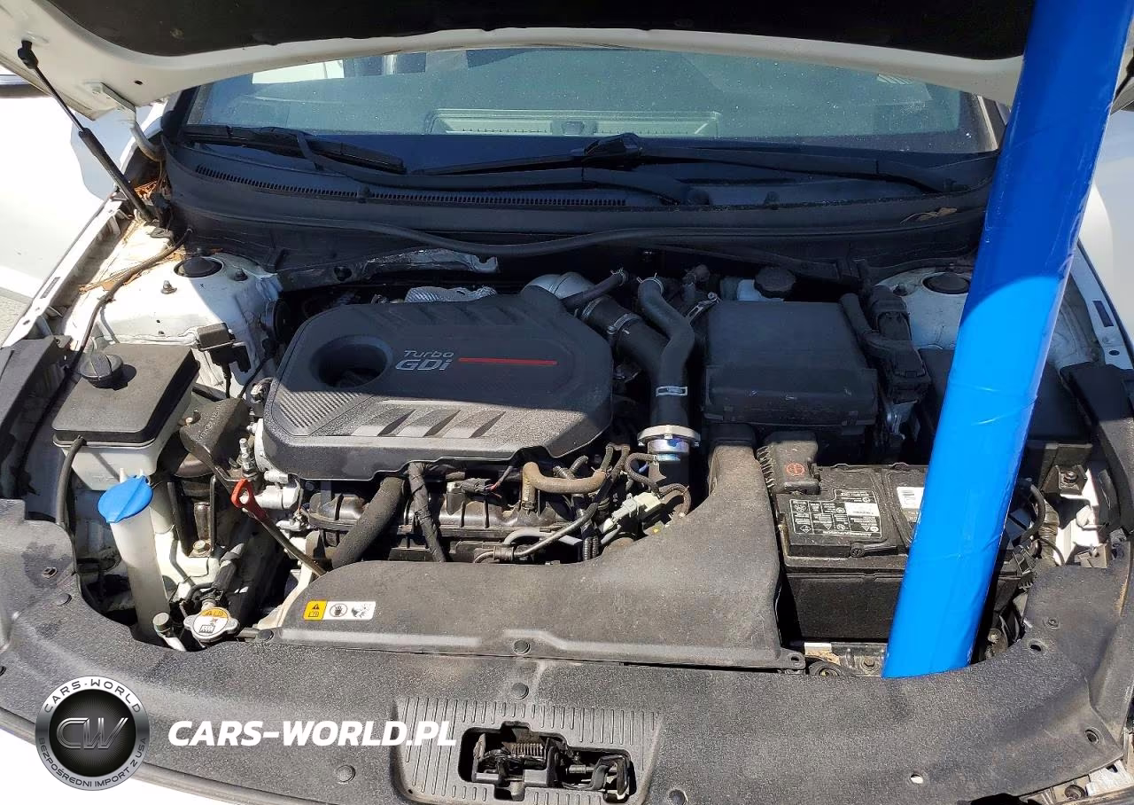 2017 Hyundai Sonata Sport 2.0T VIN:5NPE34AB4HH571378 - 11
