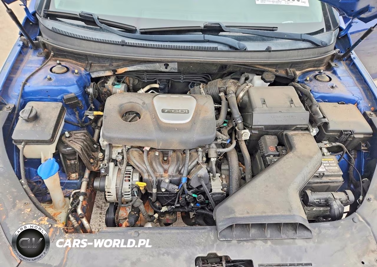 2018 Hyundai Sonata Eco VIN:5NPE24AA6JH707543 - 11