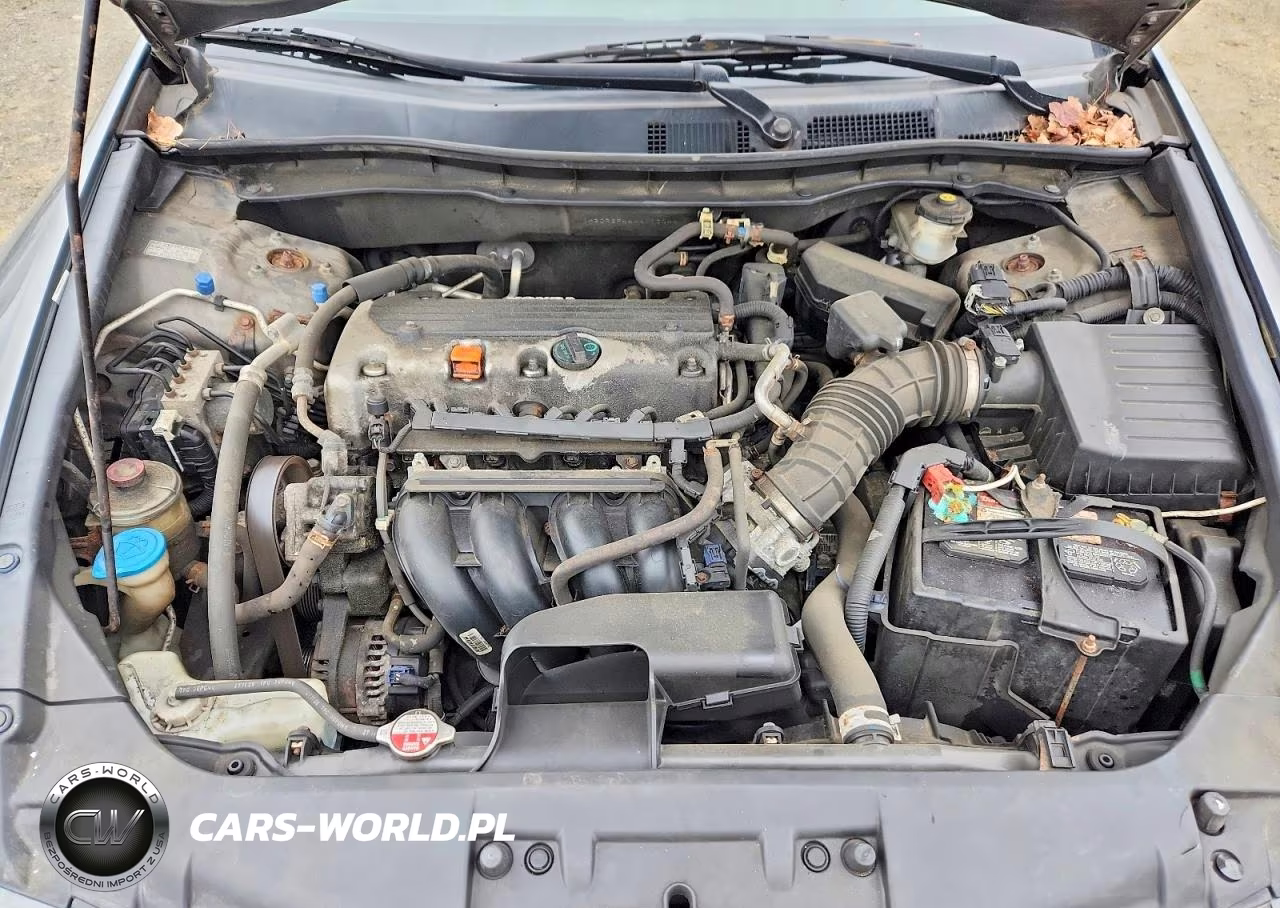 2010 Honda Accord Lxp VIN:1HGCP2F44AA110044 - 11