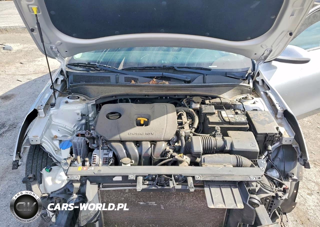 2019 Kia Forte Lxs VIN:3KPF24AD7KE098953 - 11