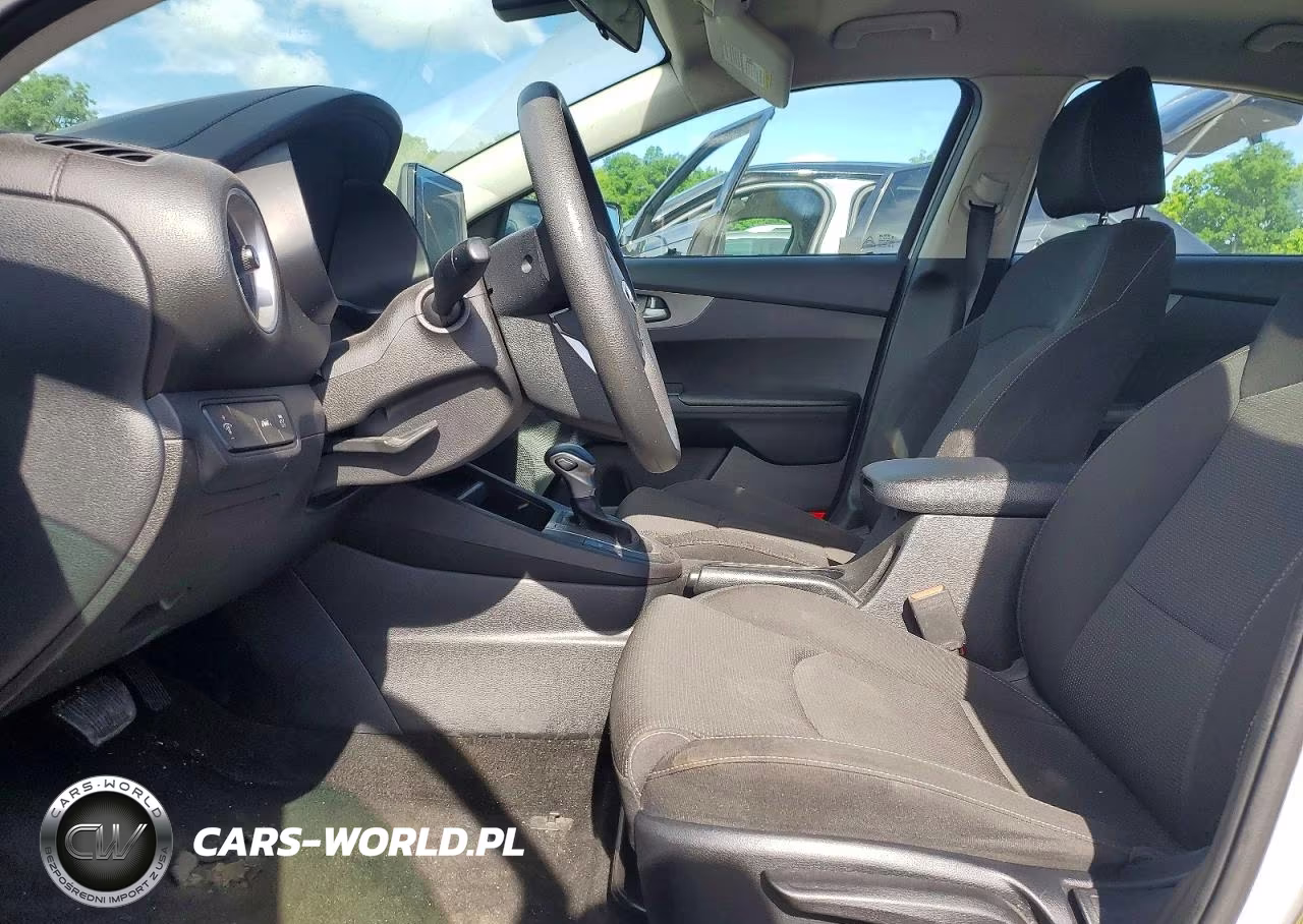 2019 Kia Forte Lxs VIN:3KPF24AD7KE098953 - 7