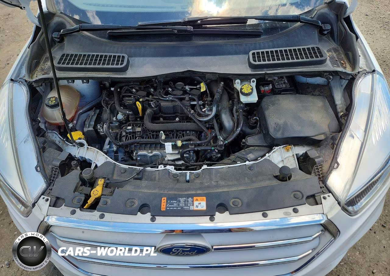 2019 Ford Escape Se VIN:1FMCU9GD0KUB64368 - 12