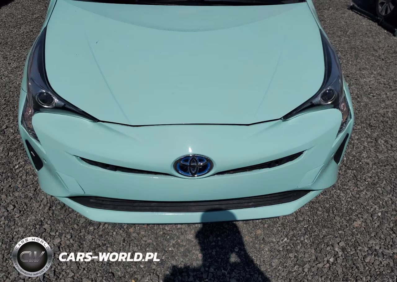 2016 Toyota Prius VIN:JTDKARFU1G3027995 - 11