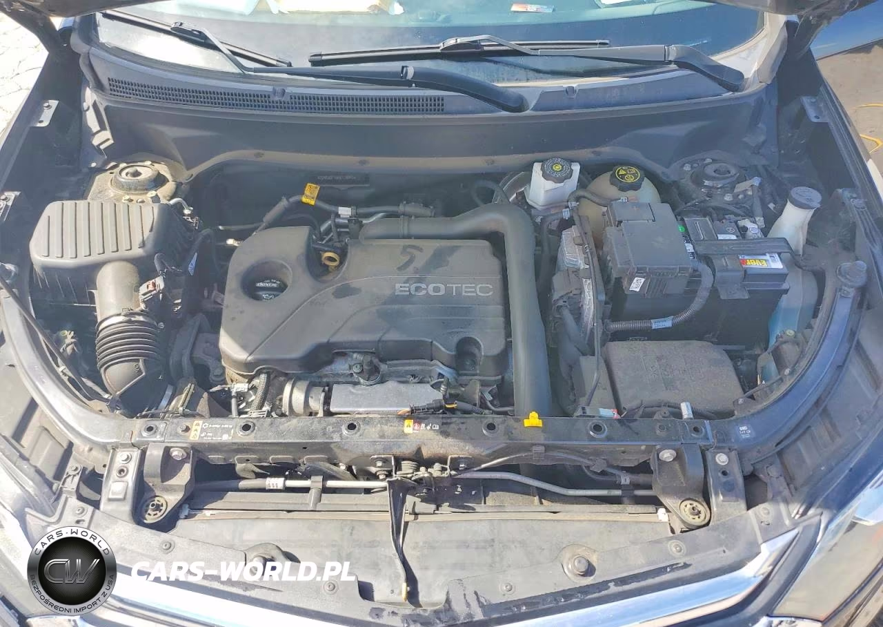 2019 Chevrolet Equinox Ls VIN:2GNAXSEV6K6170042 - 12