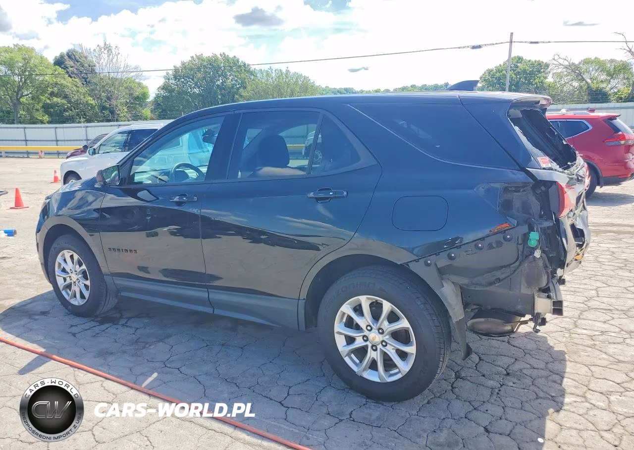 2019 Chevrolet Equinox Ls VIN:2GNAXSEV6K6170042 - 2