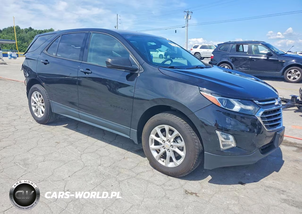 2019 Chevrolet Equinox Ls VIN:2GNAXSEV6K6170042 - 4