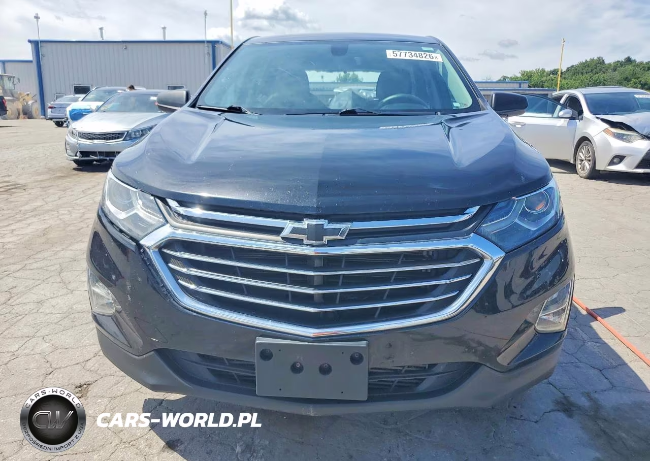 2019 Chevrolet Equinox Ls VIN:2GNAXSEV6K6170042 - 5