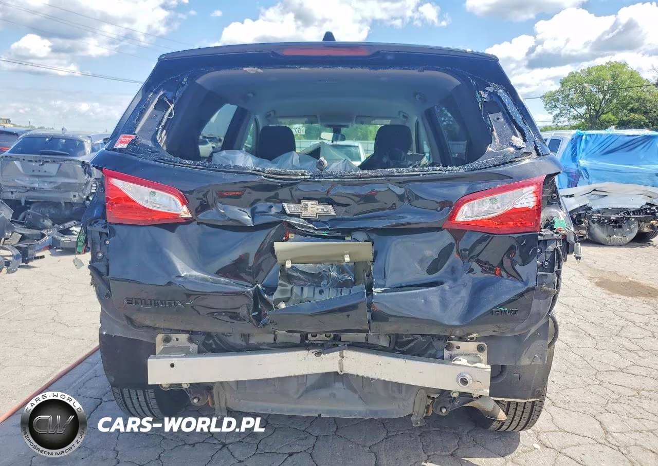 2019 Chevrolet Equinox Ls VIN:2GNAXSEV6K6170042 - 6
