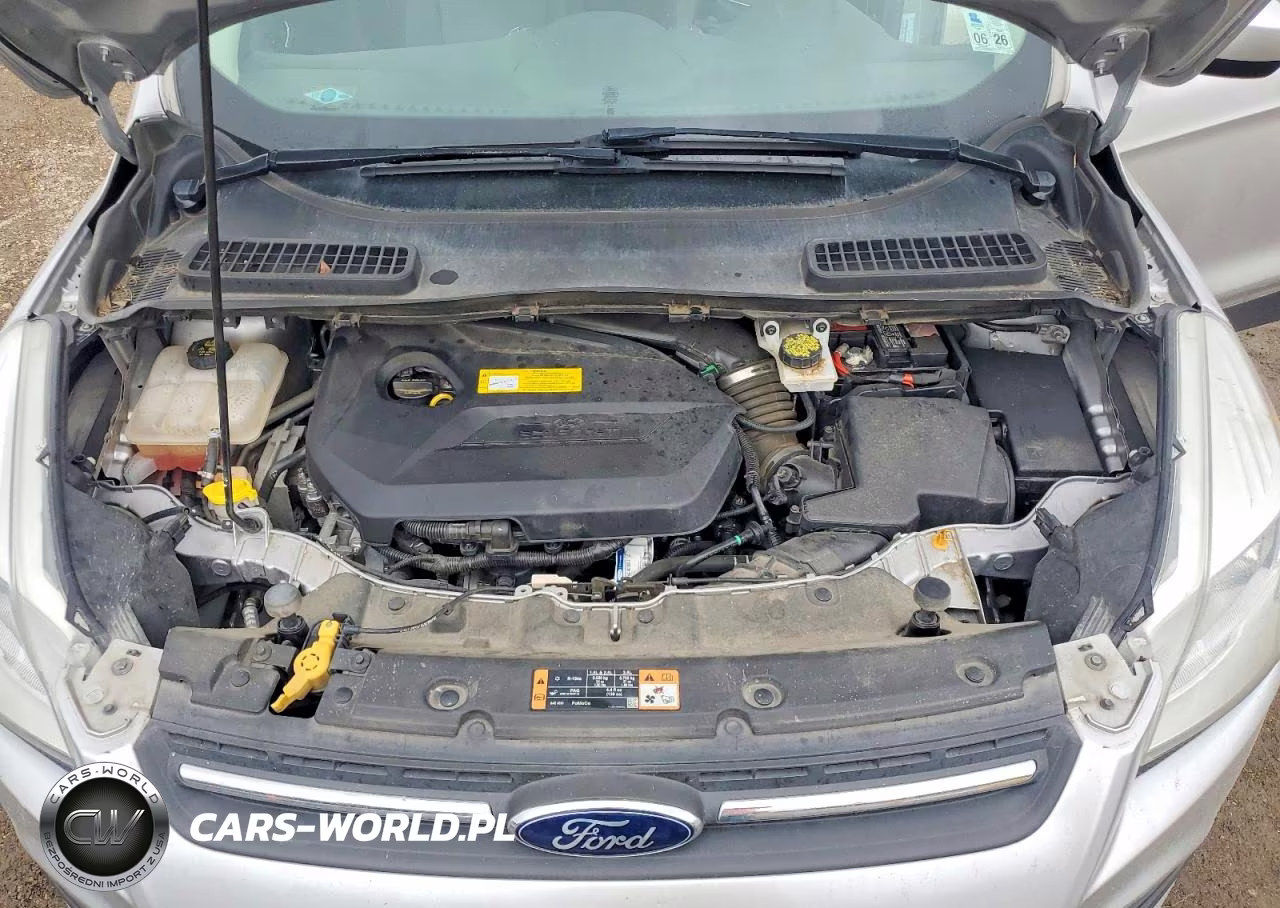 2016 Ford Escape Se VIN:1FMCU0GX5GUC73468 - 12