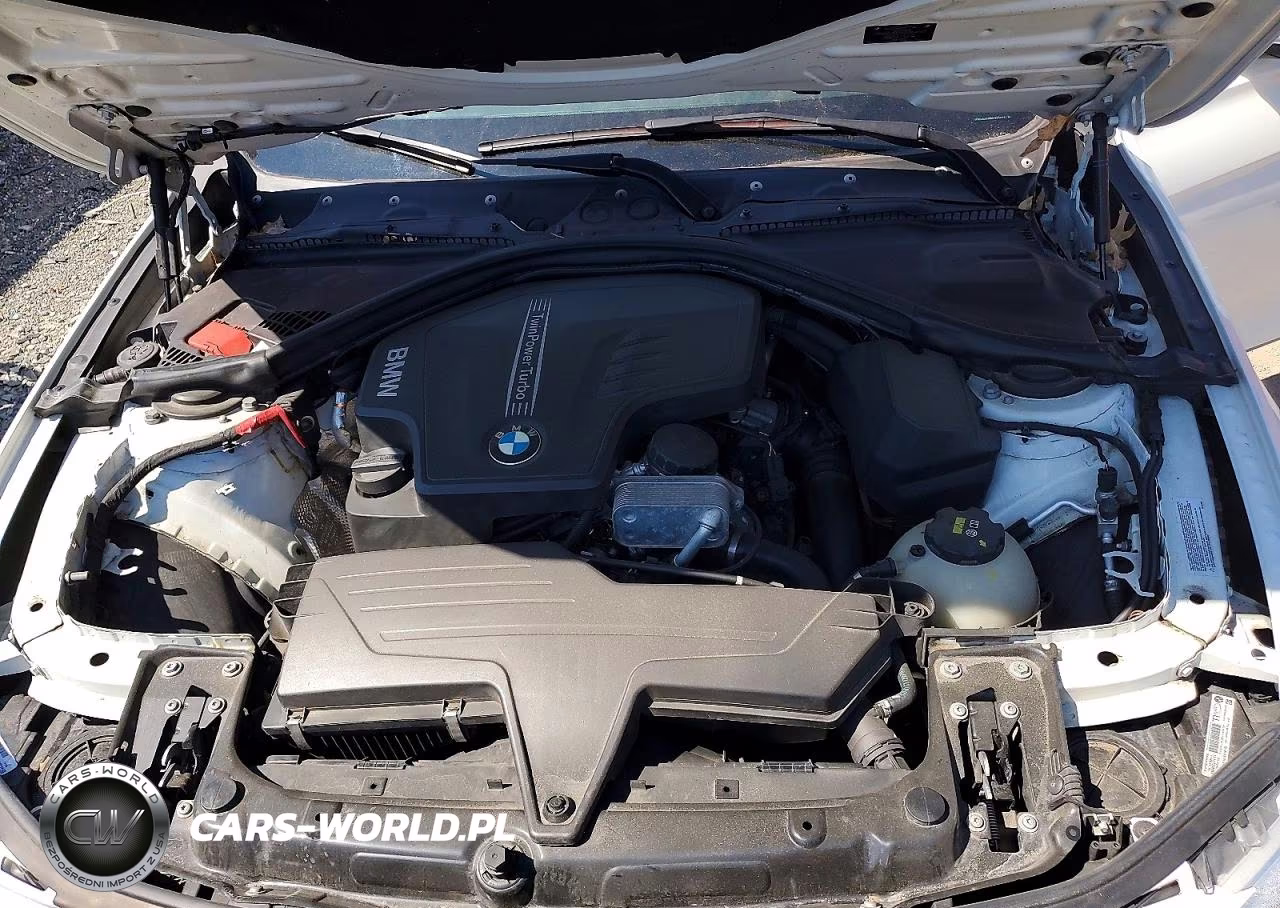 2014 BMW 320 I xDrive VIN:WBA3C3G56ENS70591 - 11