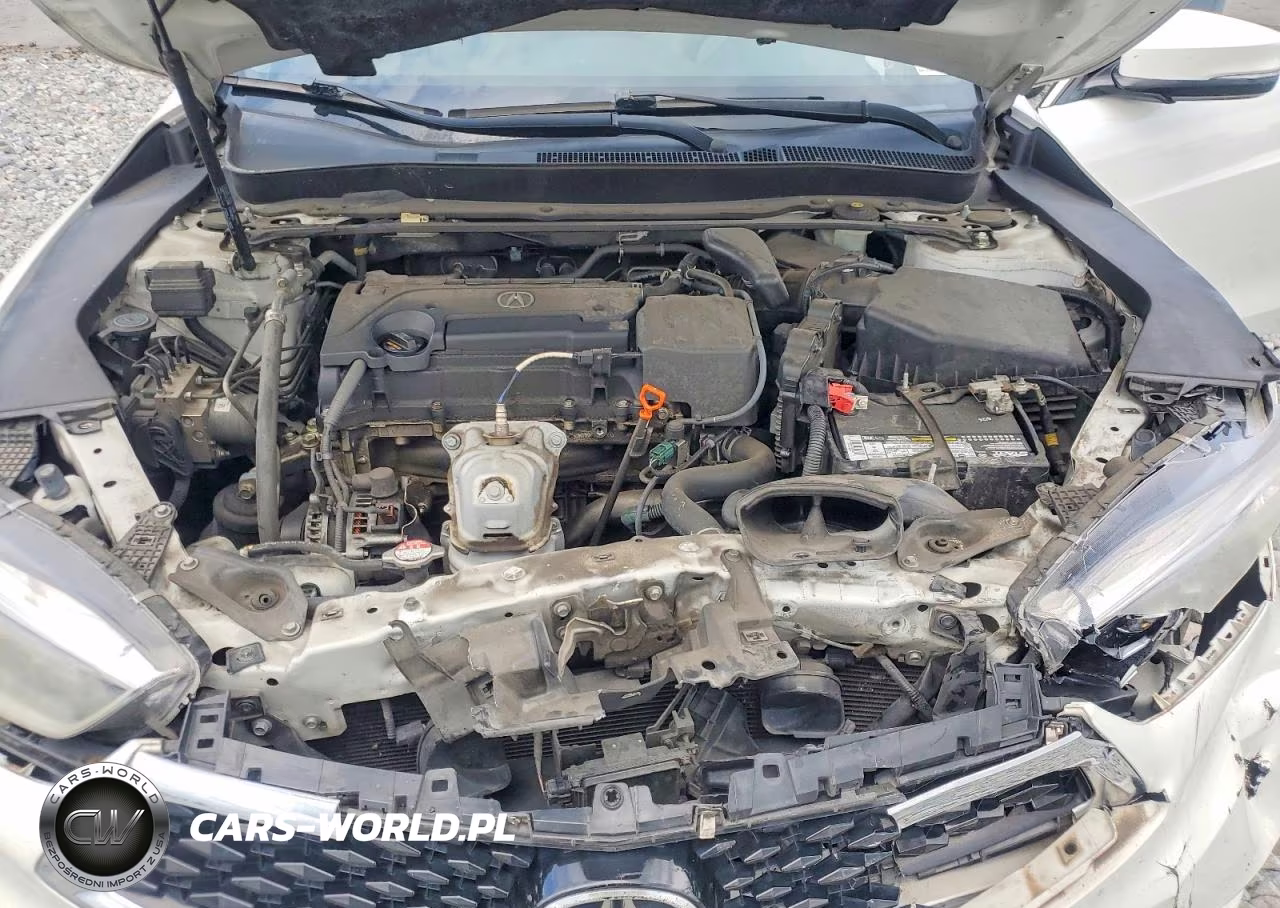 2019 Acura Tlx VIN:19UUB1F38KA007697 - 11