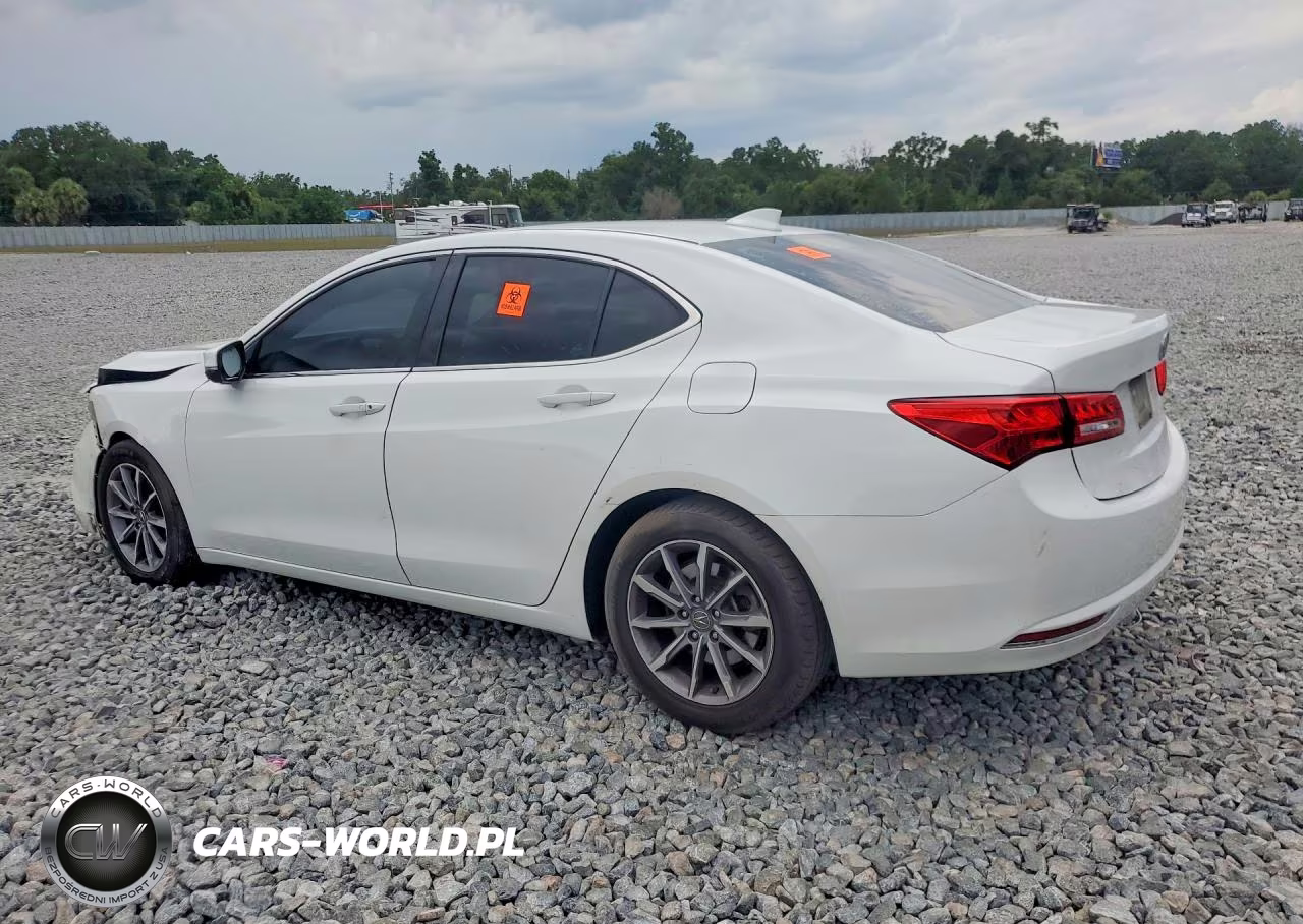 2019 Acura Tlx VIN:19UUB1F38KA007697 - 2