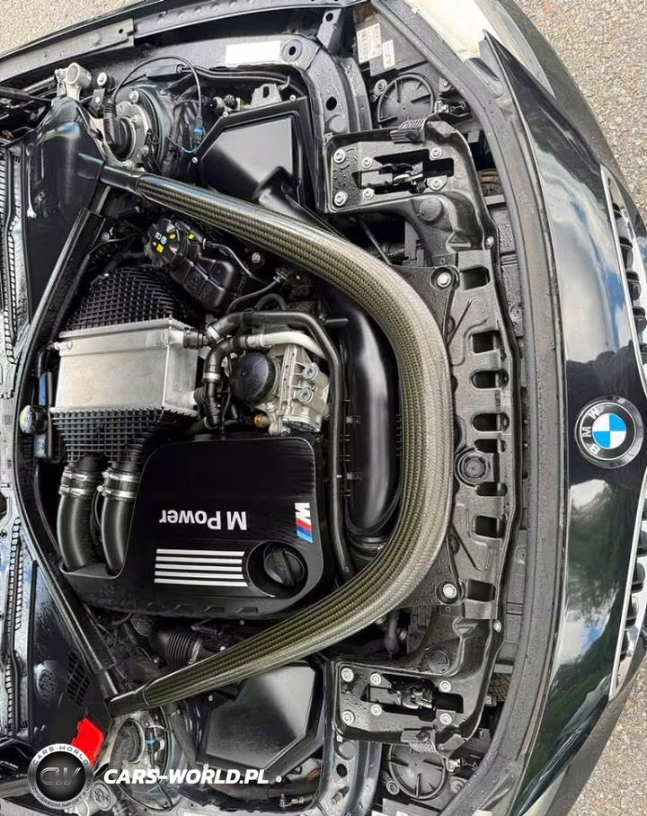 2015 BMW M3 VIN:WBS3C9C55FP803086 - 10