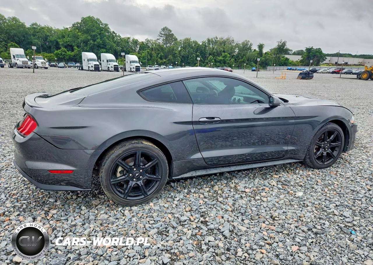 2020 Ford Mustang VIN:1FA6P8TH2L5103827 - 3