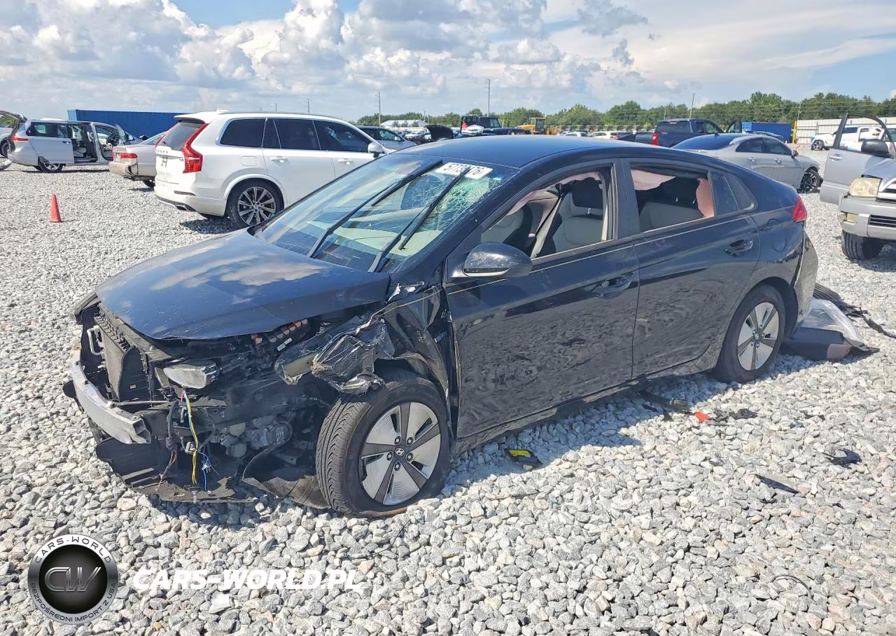 2019 Hyundai Ioniq Blue – zdjęcie 1 z 13