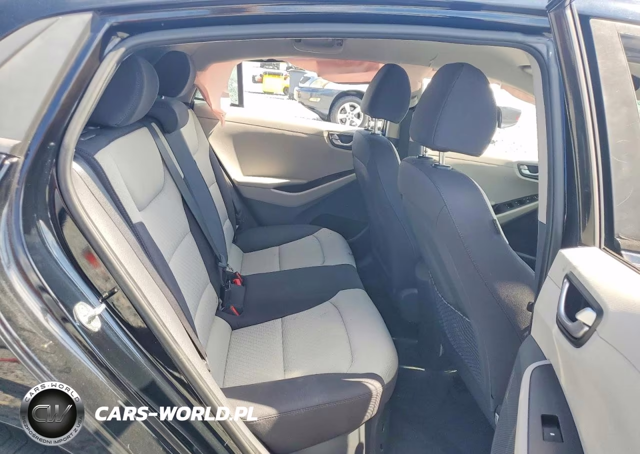 2019 Hyundai Ioniq Blue VIN:KMHC65LCXKU123956 - 10
