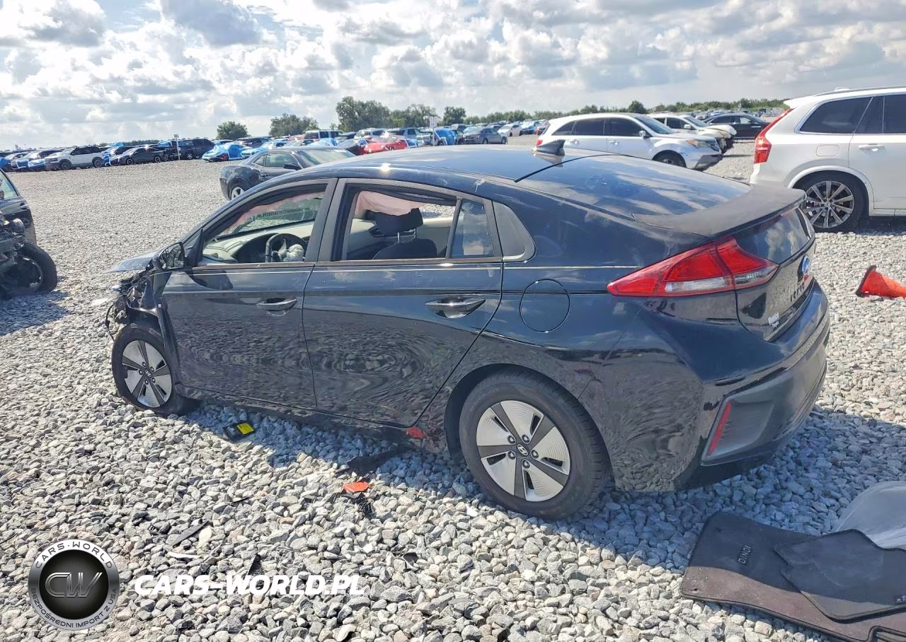 2019 Hyundai Ioniq Blue VIN:KMHC65LCXKU123956 - 2