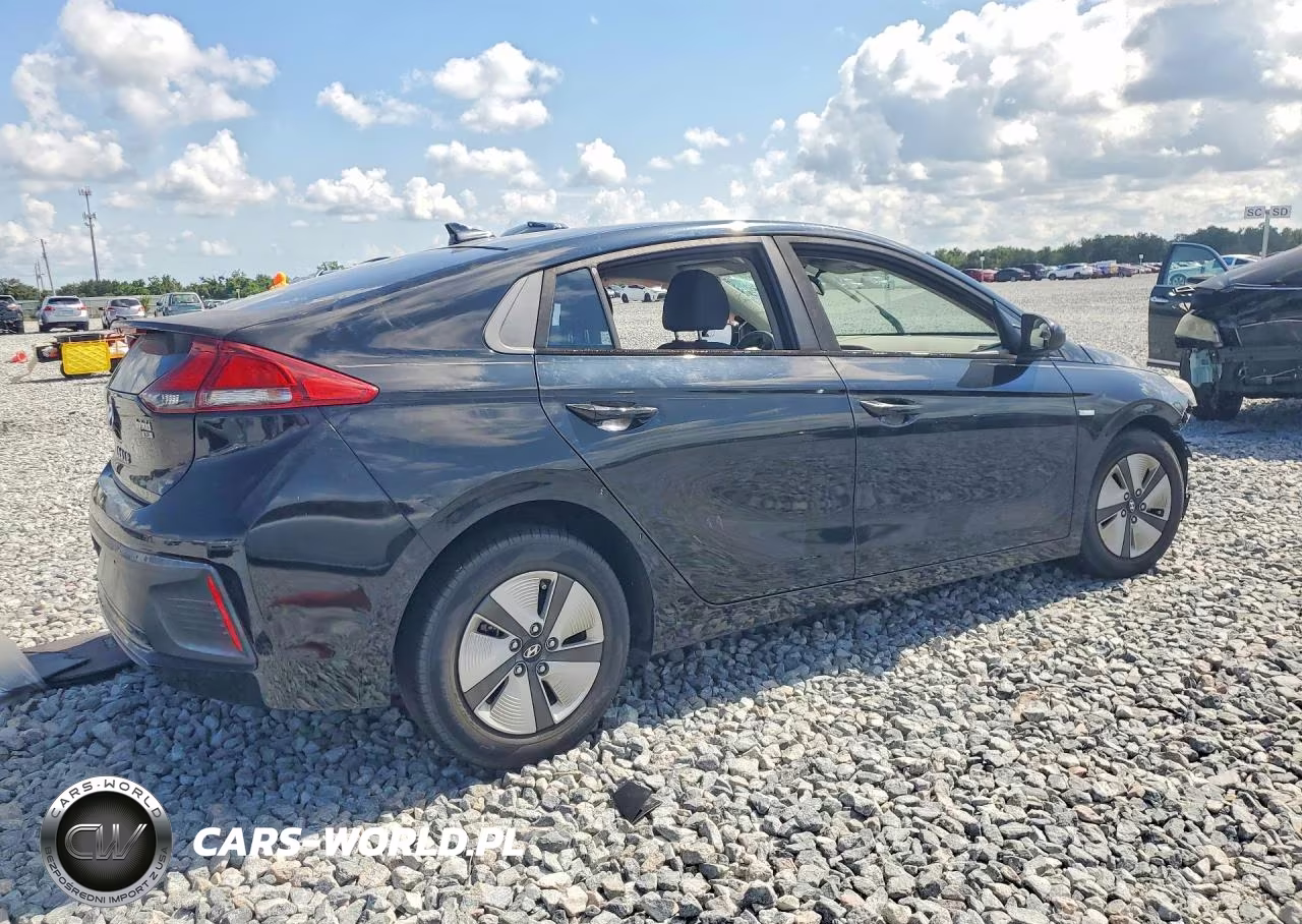 2019 Hyundai Ioniq Blue VIN:KMHC65LCXKU123956 - 3