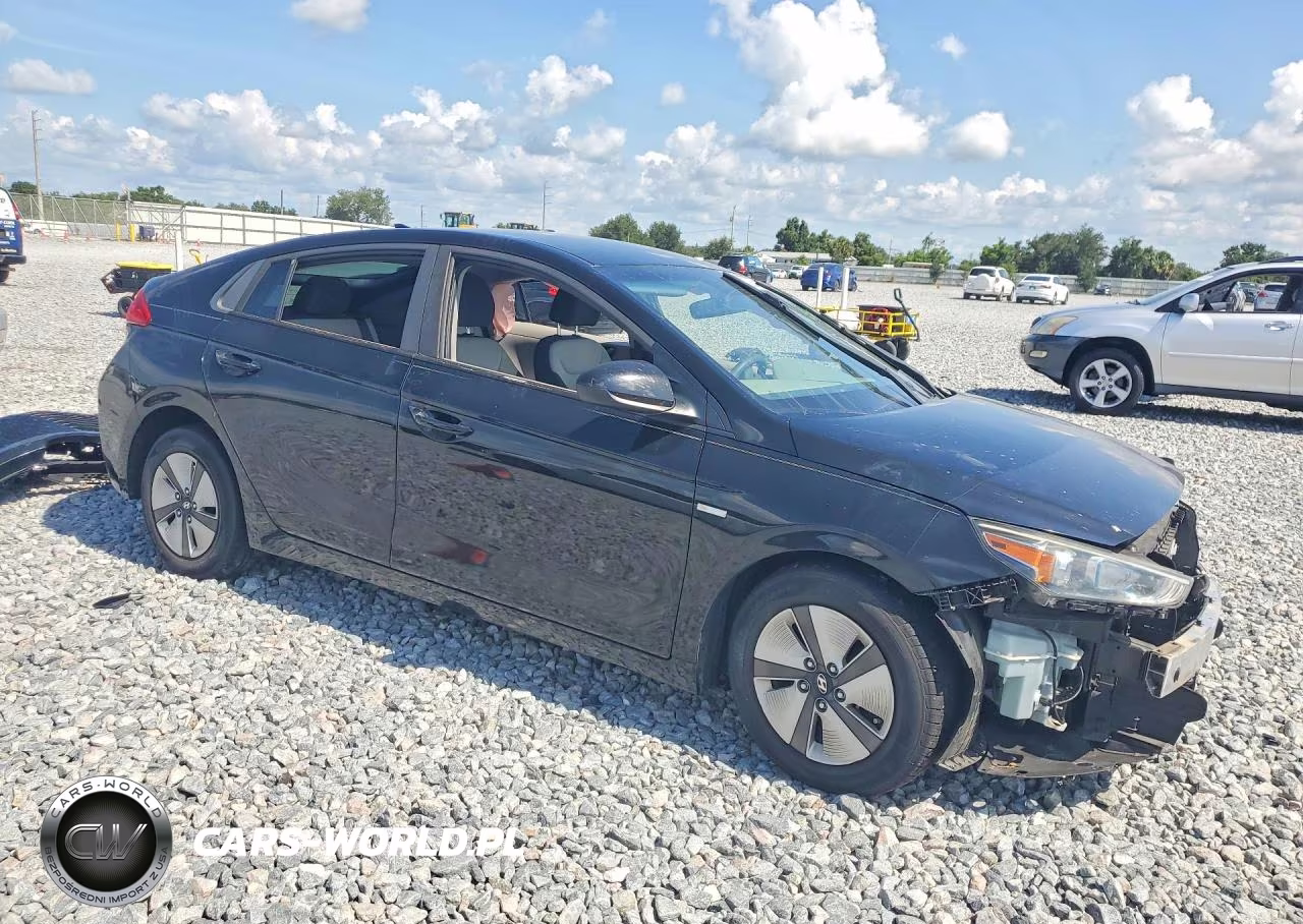 2019 Hyundai Ioniq Blue VIN:KMHC65LCXKU123956 - 4