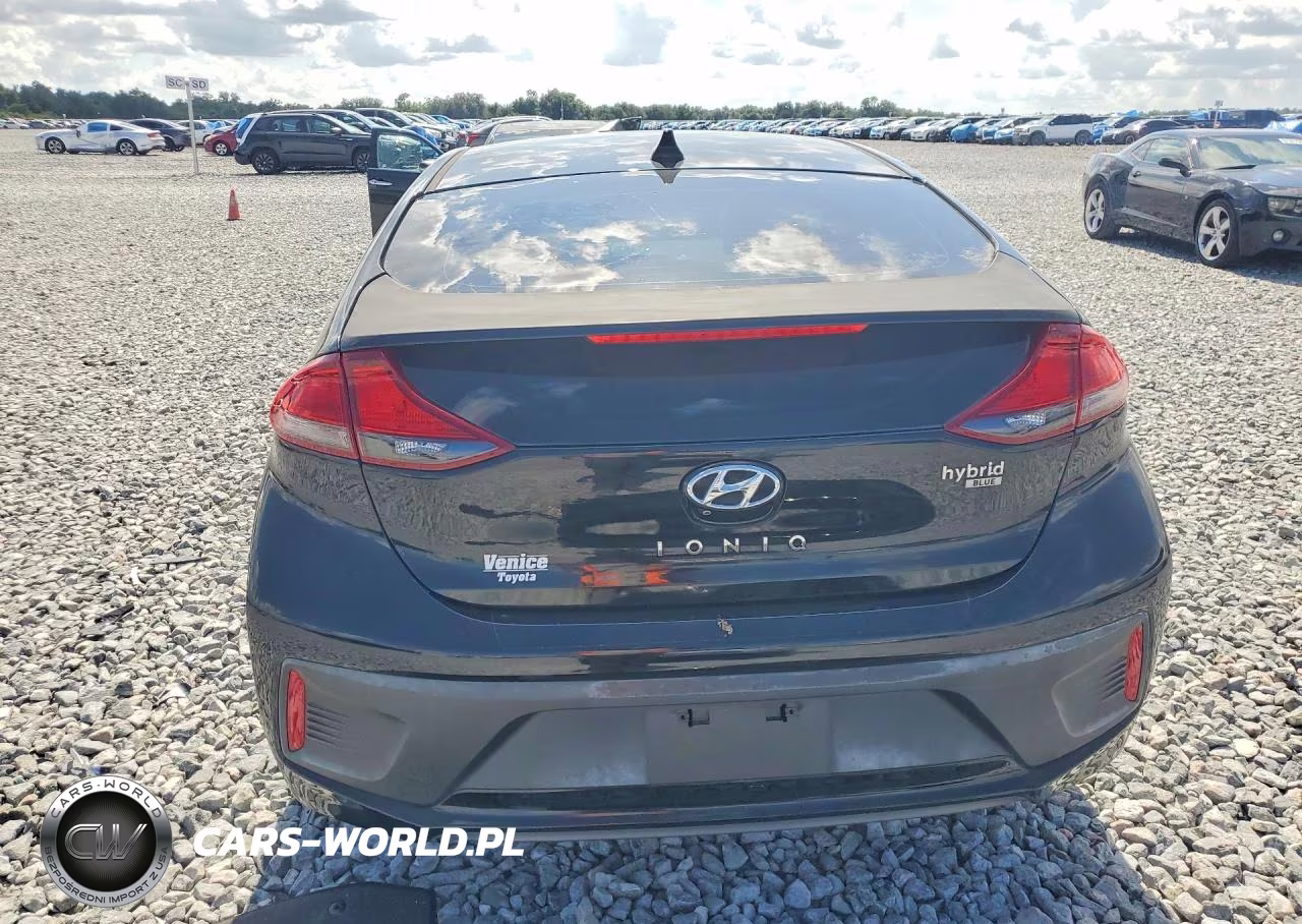 2019 Hyundai Ioniq Blue VIN:KMHC65LCXKU123956 - 6