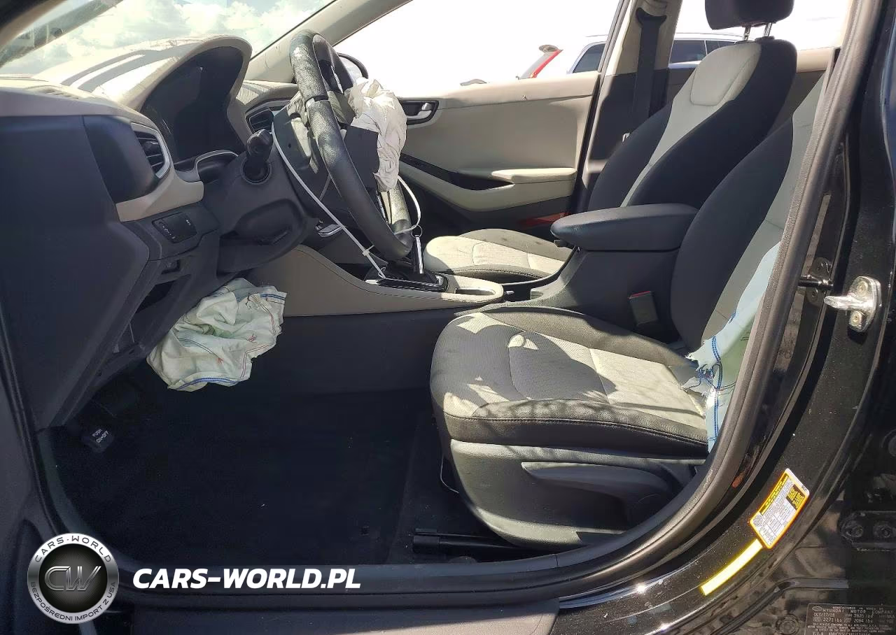 2019 Hyundai Ioniq Blue VIN:KMHC65LCXKU123956 - 7