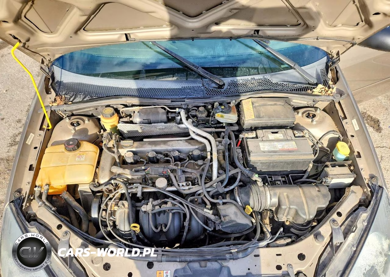 2004 Ford Focus Ztw VIN:1FAFP35Z54W116561 - 11