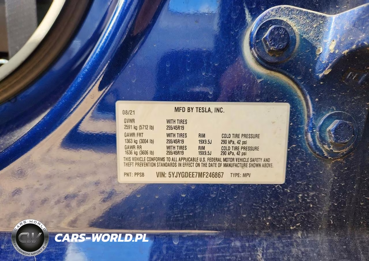 2021 Tesla Model Y VIN:5YJYGDEE7MF246867 - 13